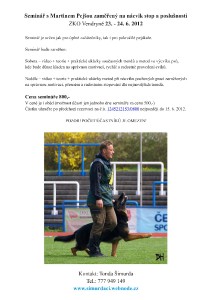seminar-s-martinem-pejsou-23.-24.6.212.jpg