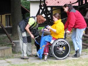 Zkouška reakce psa na vozík