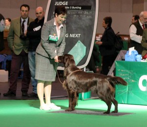 melvin-na-crufts-14.jpg