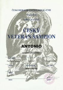 veteran-sampion-cr-tony.jpg